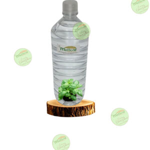 Hidrolato de  Albahaca