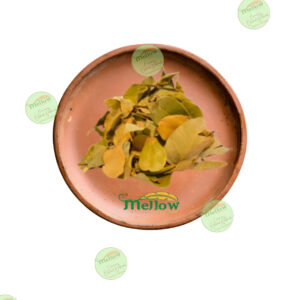 Hojas Nativo Peumo 30 gr